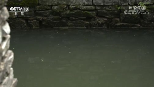 地理中国 《地理·中国》 20191219 古村谜寨·天井寨传奇 上