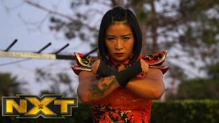 WWE在中国 NXT548：中国李霞遭遇强敌 梅塞德丝马丁内斯