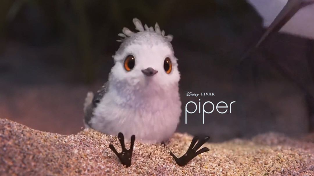 迪士尼皮克斯新作Piper