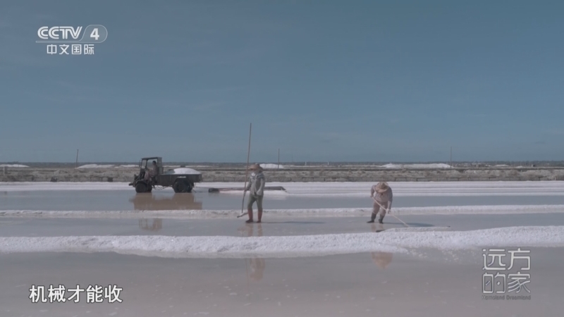 《远方的家》 20260109 山河锦绣看中国 江海交汇 花果田园