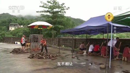 我爱发明 《我爱发明》 20190807 桂皮美容师