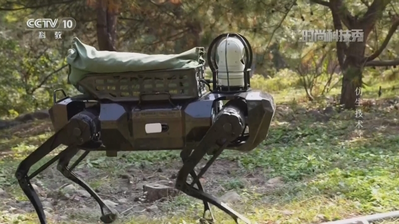 《时尚科技秀》 20260320