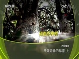 地理中国 《地理中国》 20160916 天涯海角的秘密 上
