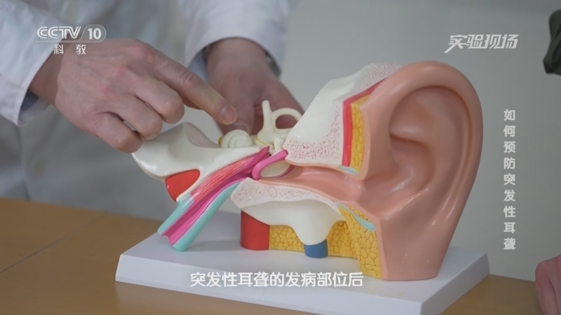 实验现场 《实验现场》 20230430 如何预防突发性耳聋