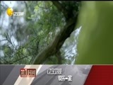 第一时间 《第一时间-辽宁》 20180606