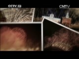 新闻直播间 《新闻直播间》 20141231 13:00