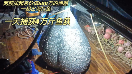 南澳岛赶海日记 两艘渔船价值6百万，一天捕获4万斤的海鲜，却说只是补油钱而已