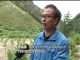 焦点访谈 《焦点访谈》 20170831 砥砺奋进的五年：绿色发展 久久为功