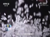 味道 《味道》 20171009 2017味自田园来（十二）什么是大庆金秋十月的丰收之味？
