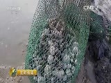 生财有道 《生财有道》 20160310 话说获得感系列：乡村巧生特色财