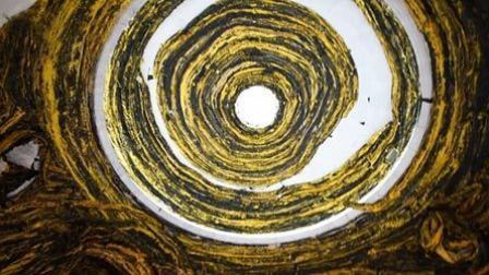 艺术中国 第57届威尼斯双年展:美国馆 08