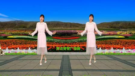 流行DJ广场舞及教学 第三季 广场舞《何时拥你入怀中》深情动听