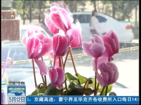 晚间报道 《晚间报道-内蒙古》 20140512
