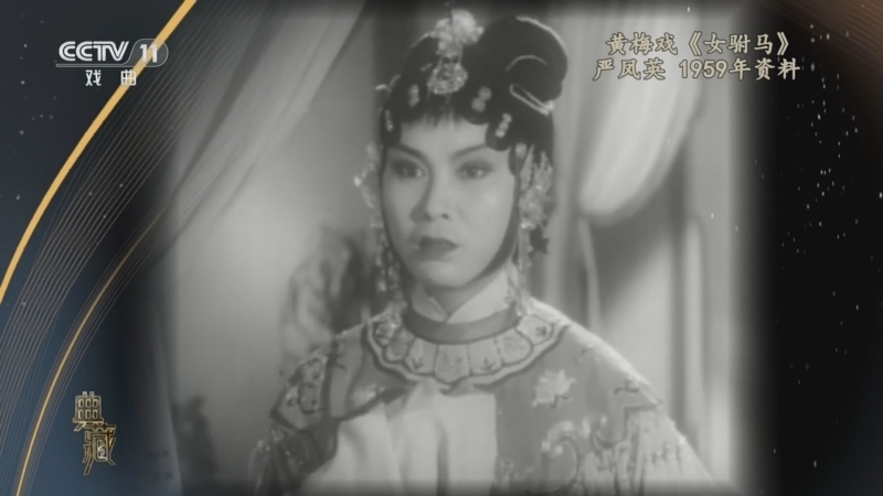 典藏 《典藏》 20240511