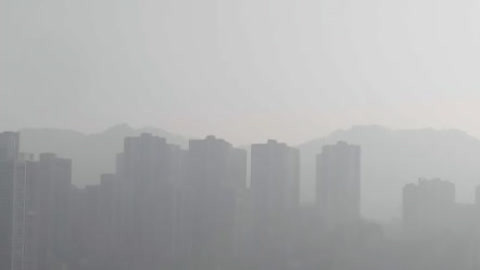 红绿灯20210314