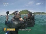 消费主张 《消费主张》 20160921 运动也疯狂——水上篇