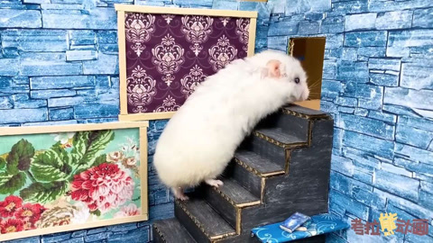 开心的一天