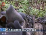 重庆新闻联播 《重庆新闻联播》 20170914