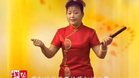 河南坠子 朱云阁 坠子书 王华后传