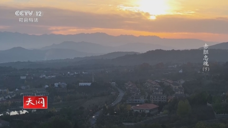 《天网》 20260406 赤胆忠魂 第二季(下)