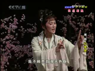 CCTV空中剧院 越剧 红楼梦 2-2