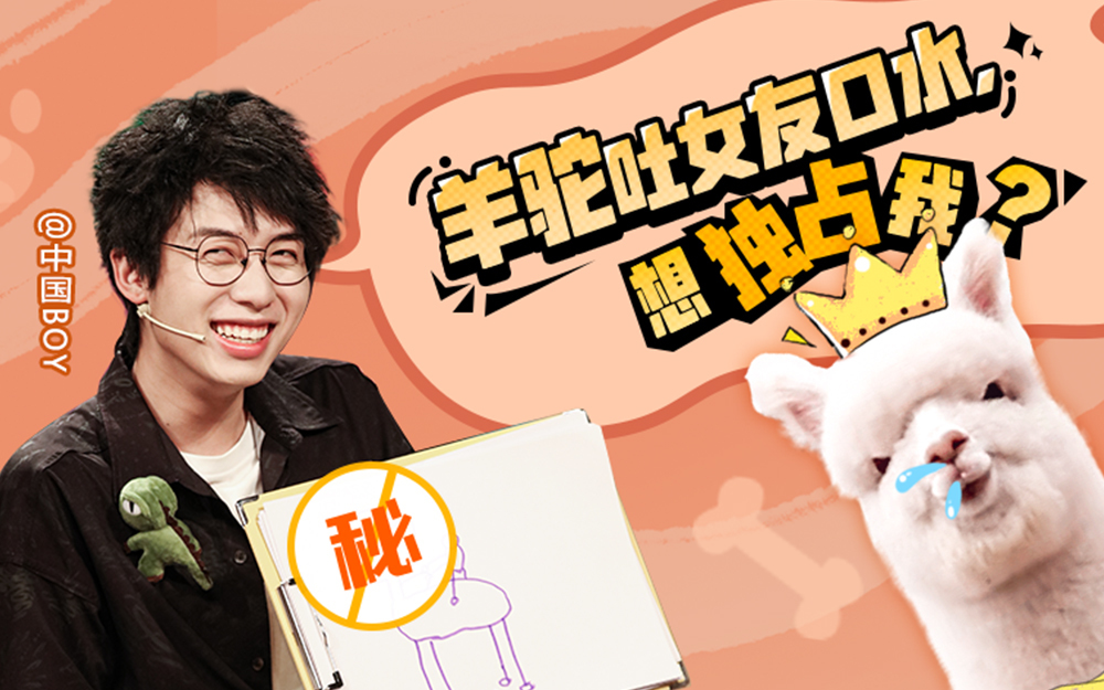 动物圈的问号脸 神脑洞？中国BOY&啊吗粽解锁羊驼迷惑行为