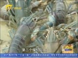 广西新闻 《广西新闻》 20170523