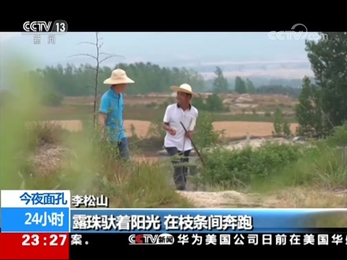 24小时 《24小时》 20190623