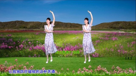 流行DJ广场舞及教学 第三季 网红DJ广场舞《为什么你要走》32步教学