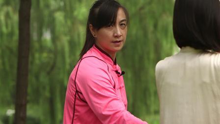 二十四式分解动作演示