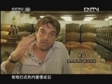 《探索·发现》 20120925 葡萄酒的诱惑（二）：酒神歌唱的季节