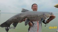 游钓中国 第二季 第16集 上池湖刺青