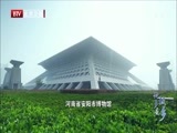 光阴 《光阴》 20150114 他乡是故乡：故园 黄河