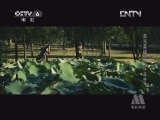 英雄出少年 《自古英雄出少年之岳飞》 1/2 （重播版）