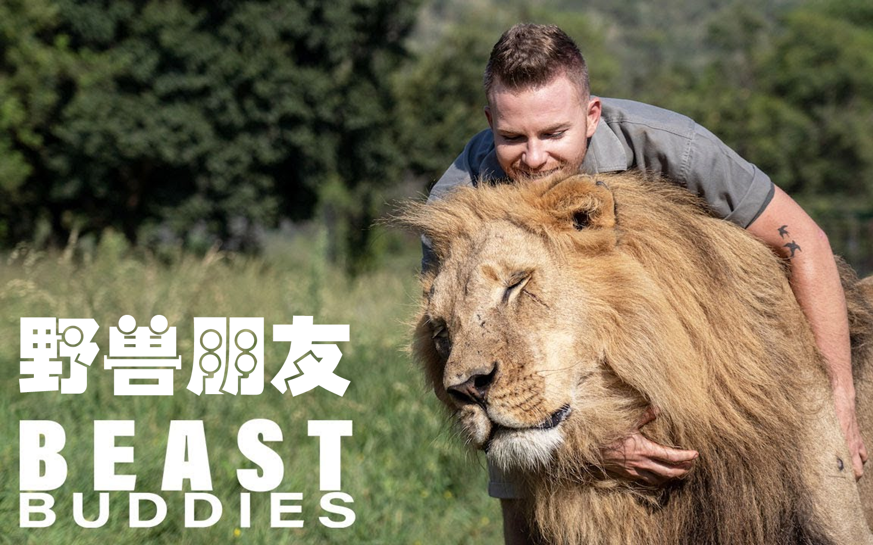 人与老虎的殊死搏斗