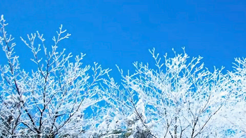 630新闻20210314