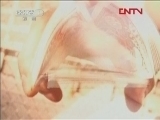 国际艺苑 《国际艺苑》 20120328