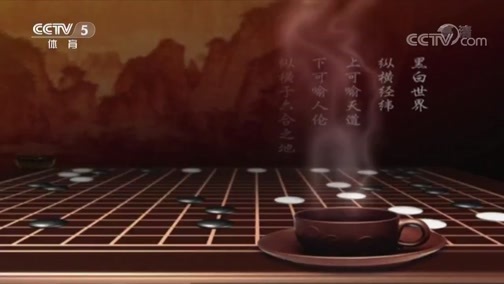 棋牌乐 [棋牌乐]20200527 柯洁VS赵晨宇