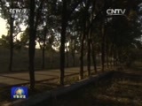 军事报道 《军事报道》 20151213