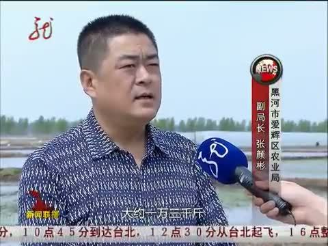全省新闻联播 《全省新闻联播》 20140517
