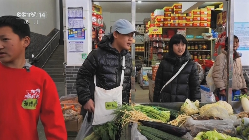 智慧树 《智慧树》 20250324
