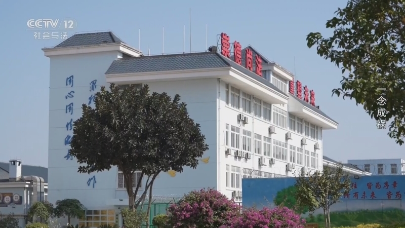 《高墙内外》 20260426 4·30全国交通安全反思日特别节目 一念成祸