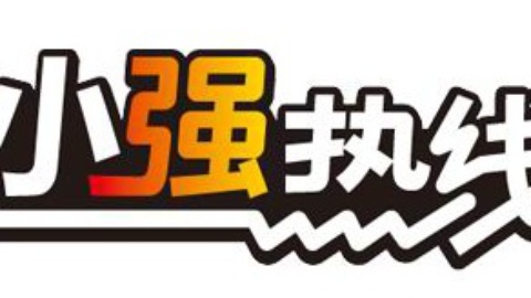 小强热线 小强热线20141217