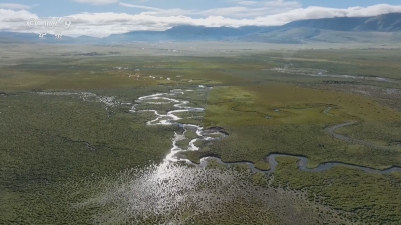 《生命树》 第7集 在河之洲