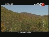 地理中国 《地理中国》 20130105 五岳·中岳嵩山