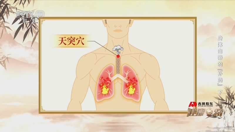 健康之路 《健康之路》 20241015 身体自带的“补药”（下）