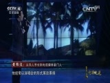 2015中华之光-传播中华文化年度人物评选