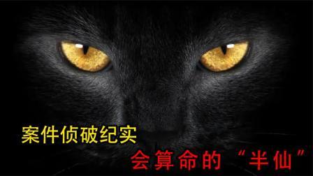 江苏赣榆大案：女富婆真心认干妈，可干妈想骗财把她噶