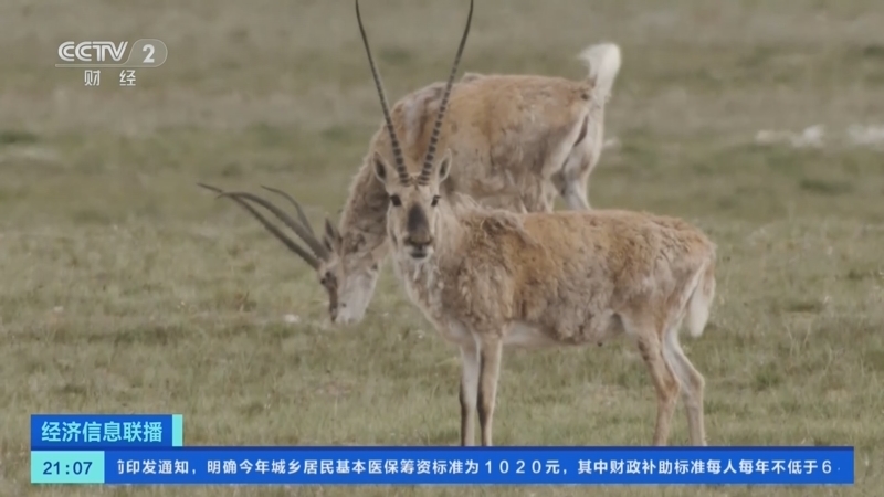 经济信息联播 《经济信息联播》 20230730