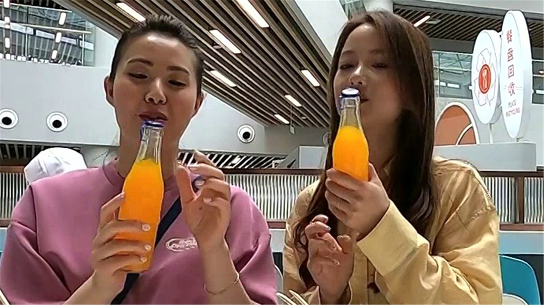 崇明花博会 深度游攻略